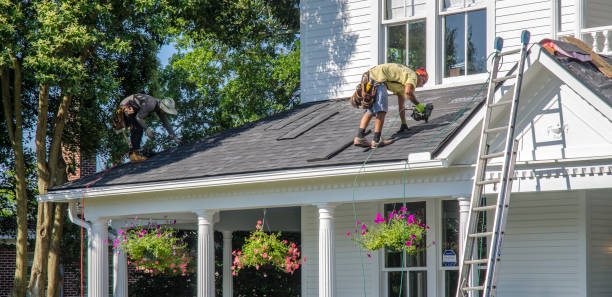 Best Roof Moss and Algae Removal  in USA